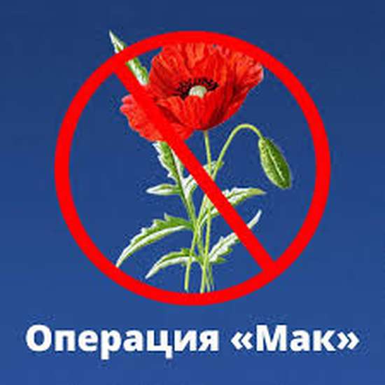 С 3 по 12 июля  2023 года в Романовском муниципальном районе проходит I этап оперативно-профилактическая операция «Мак-2023»