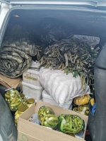 Гуманитарный груз для участников СВО.