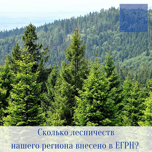 Сколько лесничеств на территории региона внесено в ЕГРН?
