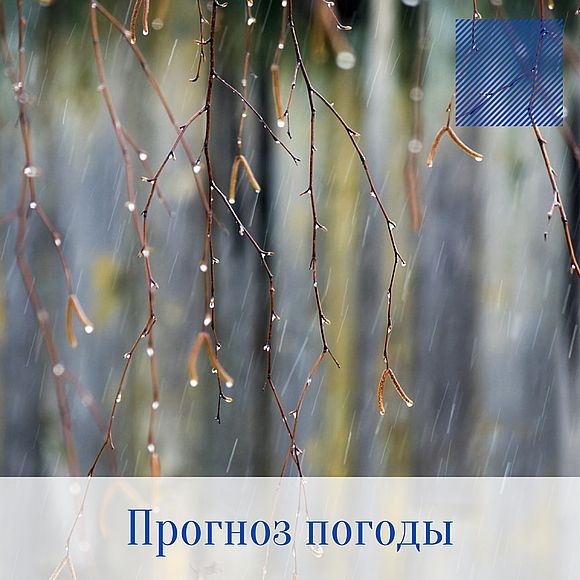 Оперативный ежедневный прогноз возможного возникновения и развития чрезвычайных ситуаций на территории Саратовской области на 14 мая 2022 г