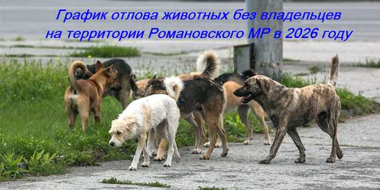 График проведения мероприятий по отлову животных без владельцев на территории Романовского МР в 2026 году.