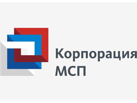 В Корпорации МСП рассказали, как малому и среднему бизнесу получить льготный кредит при отсутствии залога 