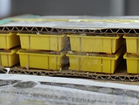 Почта России доставила посылку с пчёлами в Саратовскую область 