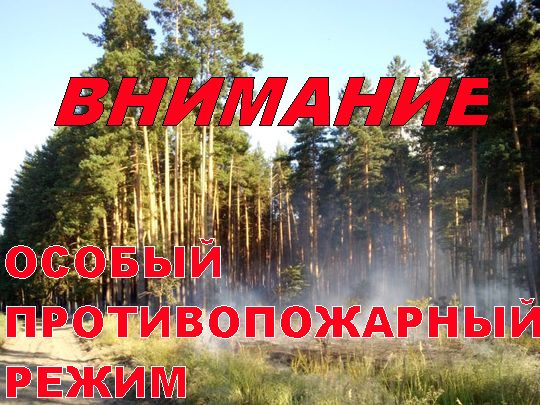 Об установлении особого противопожарного режима