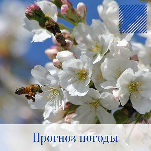 Оперативный ежедневный прогноз возможного возникновения и развития чрезвычайных ситуаций на территории Саратовской области на 28 апреля 2022 г