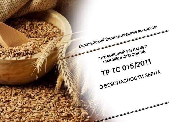 Управление Россельхознадзора о правилах и ошибках при декларировании зерна