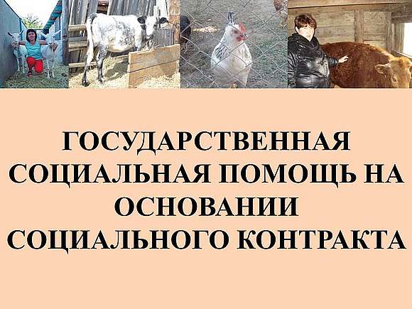 Социальный  контракт