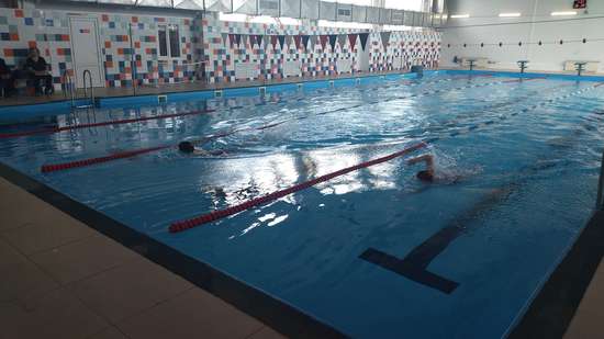 В плавательном бассейне «Волна» р.п. Романовка состоялось первенство по плаванию.