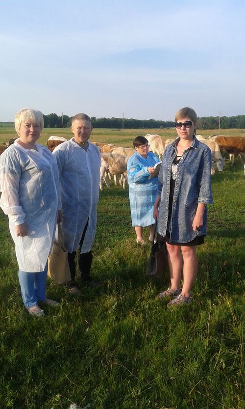 В районе проводится учёт поголовья скота