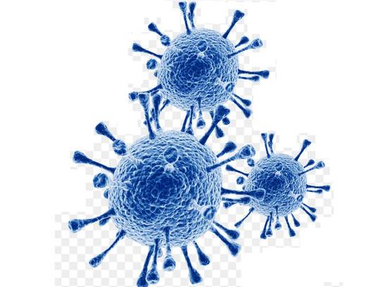 О мероприятиях профилактики гриппа и коронавирусной инфекции