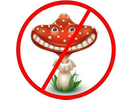 О профилактике отравлений грибами