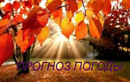 Оперативный ежедневный прогноз возможного возникновения и развития чрезвычайных ситуаций на территории Саратовской области на 02 октября 2024.