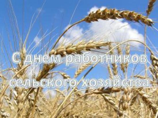 Поздравление с Днем работников сельского хозяйства и перерабатывающей промышленности от С.В. Гнусарева