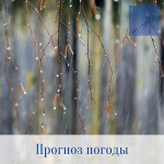 Оперативный ежедневный прогноз возможного возникновения и развития чрезвычайных ситуаций на территории Саратовской области на 12 мая 2022 г