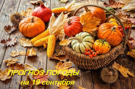 Оперативный ежедневный прогноз возможного возникновения и развития чрезвычайных ситуаций на территории Саратовской области на 20 сентября 2024.