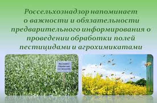 Внимание! Важная информация!