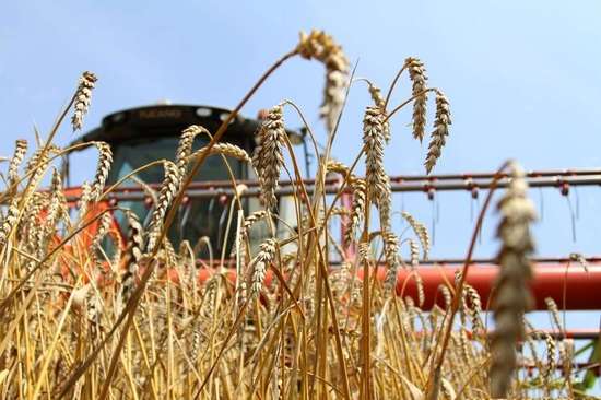 Вести с полей Романовского района.