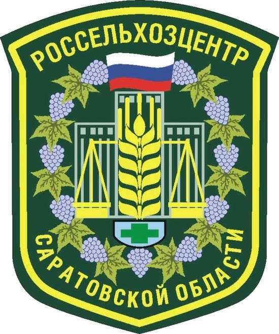 Саратовский "Россельхозцентр" оценивает качество семян озимых