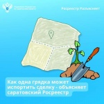 Как одна грядка может испортить сделку – объясняет саратовский Росреестр