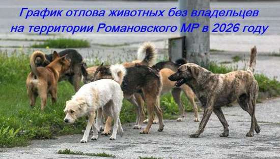 График проведения мероприятий по отлову животных без владельцев на территории Романовского муниципального района Саратовской области на IV квартал 2026 года.