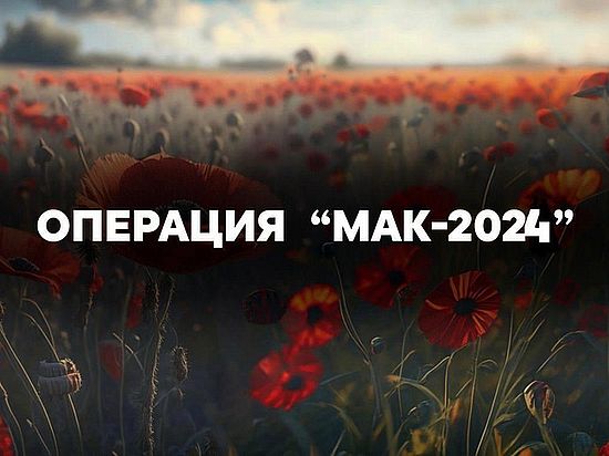 С 19 по 28 августа на территории Саратовской области проводится третий этап межведомственной комплексной оперативно-профилактической операции «Мак - 2024»