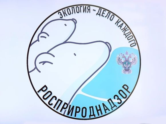 Стартовал прием заявок на участие в международной детско-юношеской премии «Экология – дело каждого!»