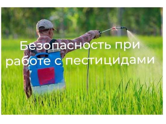 Безопасность при использовании пестицидов