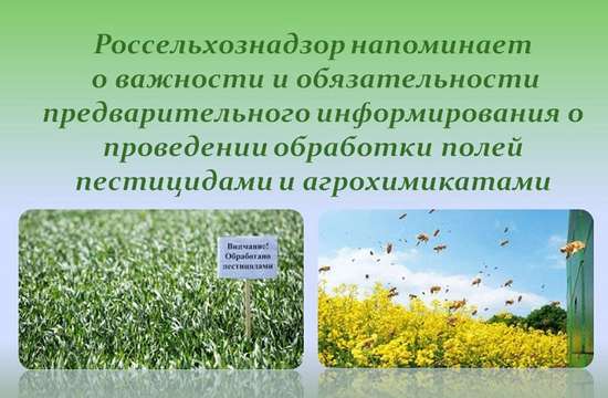 О соблюдении требований в части информирования о запланированной с применением пестицидов и агрохимикатов обработке полей. 