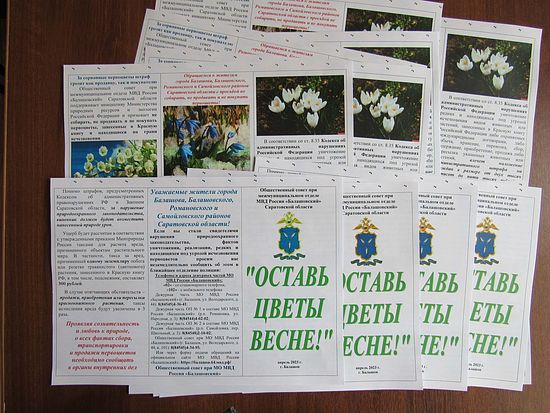 В Балашове общественники провели традиционную экологическую акцию «Оставь цветы весне!»