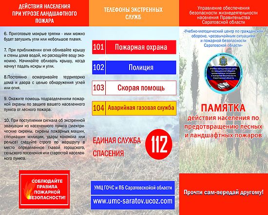 Действия населения при угрозе ландшафтного пожара. Природные возгорания опасны как для дикой природы, так и для построек разного назначения.