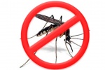 Памятка для населения по профилактике лихорадки Западного Нила
