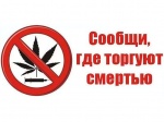 Стартовал первый этап Общероссийской антинаркотической акции «Сообщи, где торгуют смертью!»