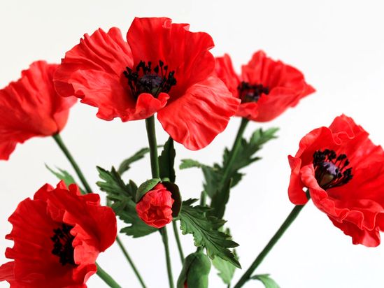 Стартовал четвертый этап оперативно-профилактической операции «МАК-2020»