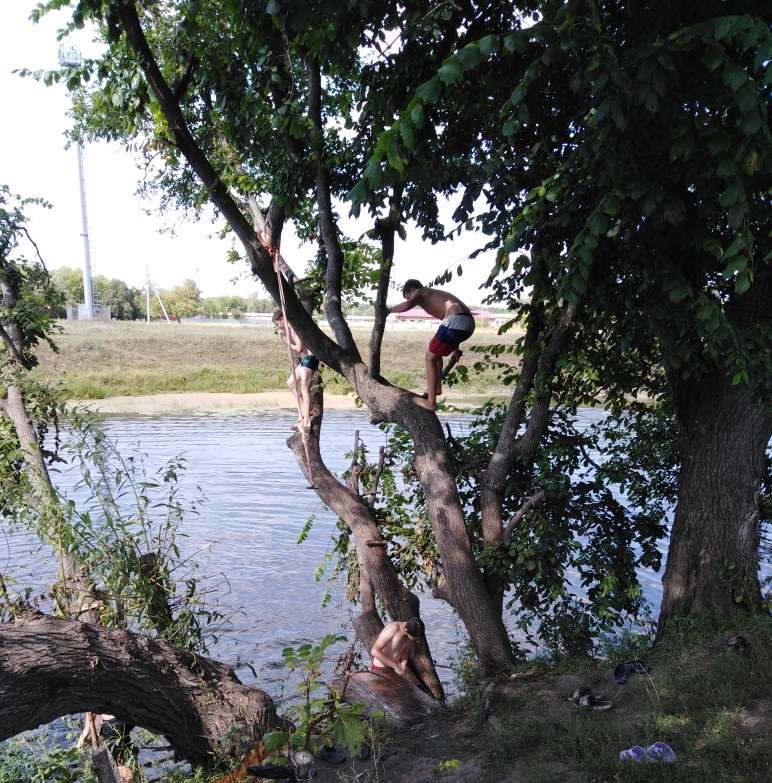 Жителям Романовского района напомнили об опасности тарзанок 