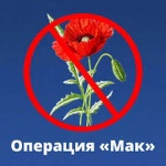 С 3 по 12 июля  2023 года в Романовском муниципальном районе проходит I этап оперативно-профилактическая операция «Мак-2023»