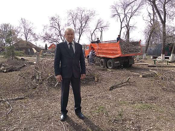 Началась уборка сухих деревьев в центральном парке