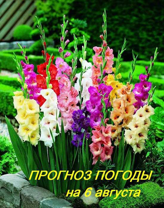 Оперативный ежедневный прогноз возможного возникновения и развития чрезвычайных ситуаций на территории Саратовской области на 06 августа 2024