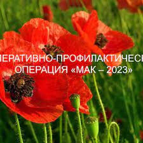 На территории Саратовской области проводится третий этап межведомственной оперативно-профилактической операции «Мак-2023»