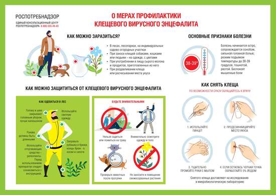 «Горячая линия» по вопросам профилактики клещевого энцефалита