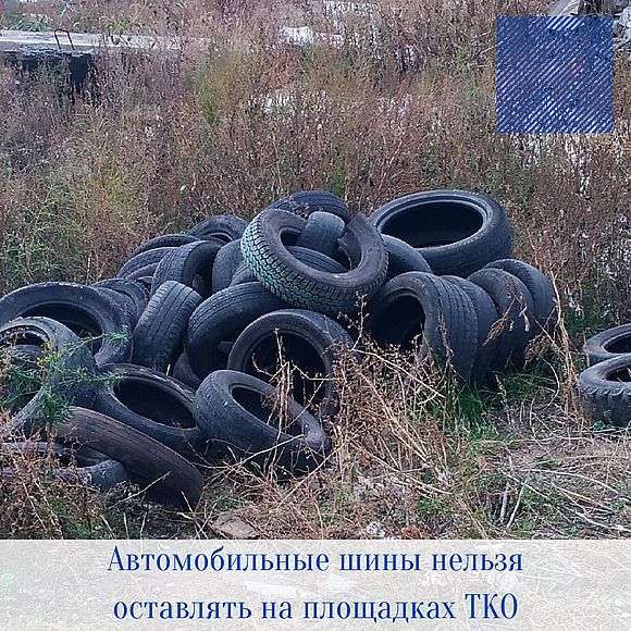 Регоператор: автомобильные шины нельзя оставлять на площадках для коммунальных отходов