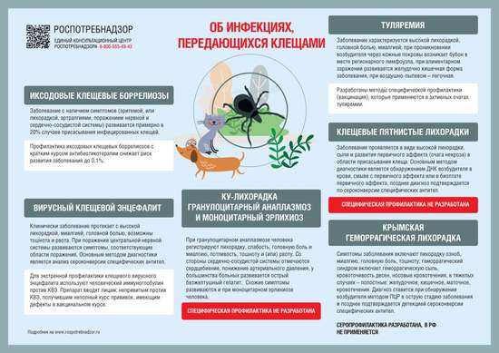 Актуально: вспоминаем об инфекциях, передающихся клещами