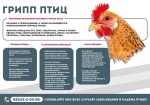 Осторожно! Птичий грипп. Памятка по профилактике гриппа птиц