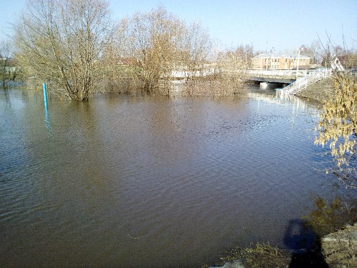 Предупреждение об ожидаемом подтоплении населенных пунктов и хозяйственных объектов Саратовской области в половодье от 11 апреля 