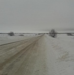 Ремонт  региональной автодороги «Романовка –Малое Щербедино» 