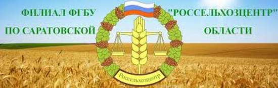 Информационный листок №3 от 15.07.24, Апробация в новых условиях законодательства