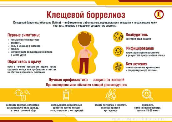 «5 вопросов о клещевом боррелиозе»