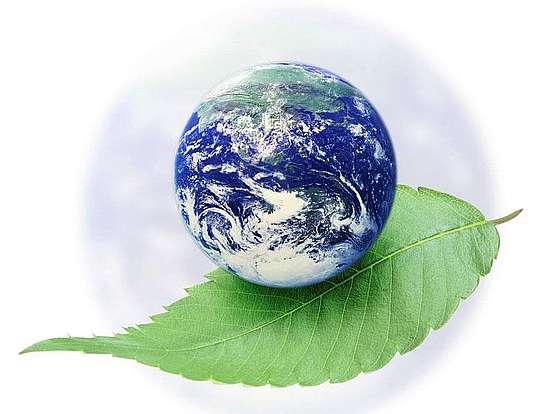 Информация о состоянии окружающей среды на территории области в январе 2021 года