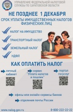 Оплата имущественных налогов гражданами в 2025 году.