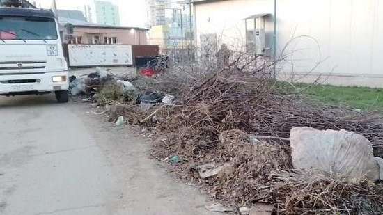 В преддверии субботников регоператор напоминает о правилах складирования веток и опилов деревьев