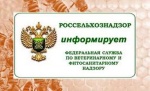 Информация о требованиях, предъявляемых по уходу и воспроизводству за агролесомелиоративными и агрофитомелиоративными насаждениями на земельных участках сельскохозяйственного назначения.